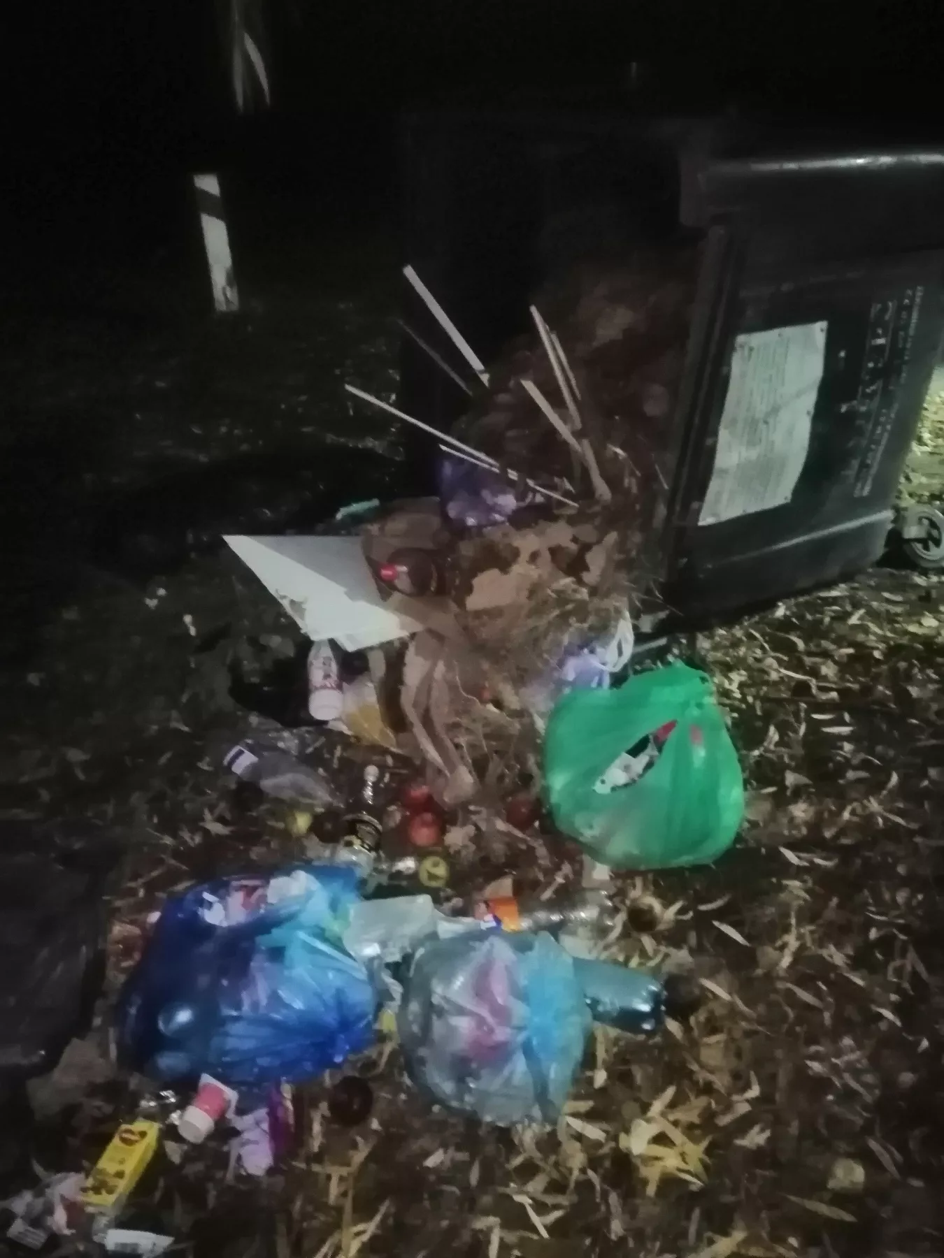 Замість чистоти — стихійне сміттєзвалище: у Малині контейнери знову на землі 