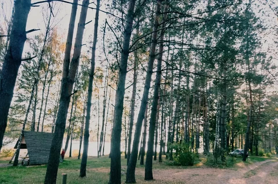 Візнянське водосховище біля Ворсівки: риболовля та відпочинок