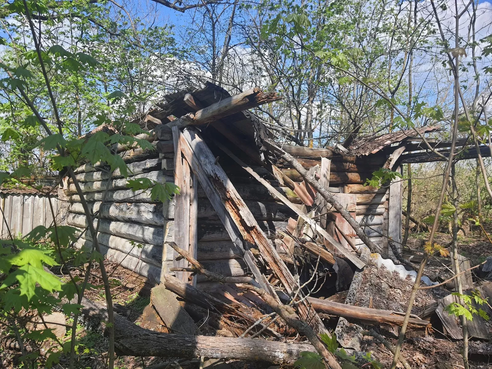 Великі Кліщі: історія відселеного села та дерев’яної церкви