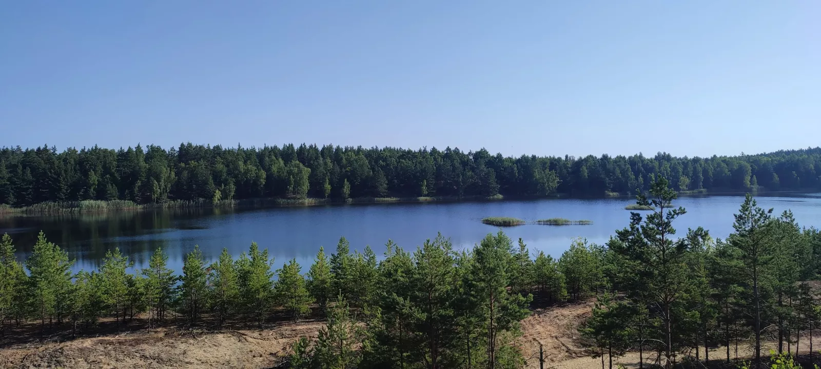 Річка Жерев на Житомирщині: дика природа та неймовірні краєвиди