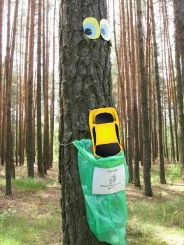 Екопарк «Вересковий» у Малині — зелена зона з громадською ініціативою