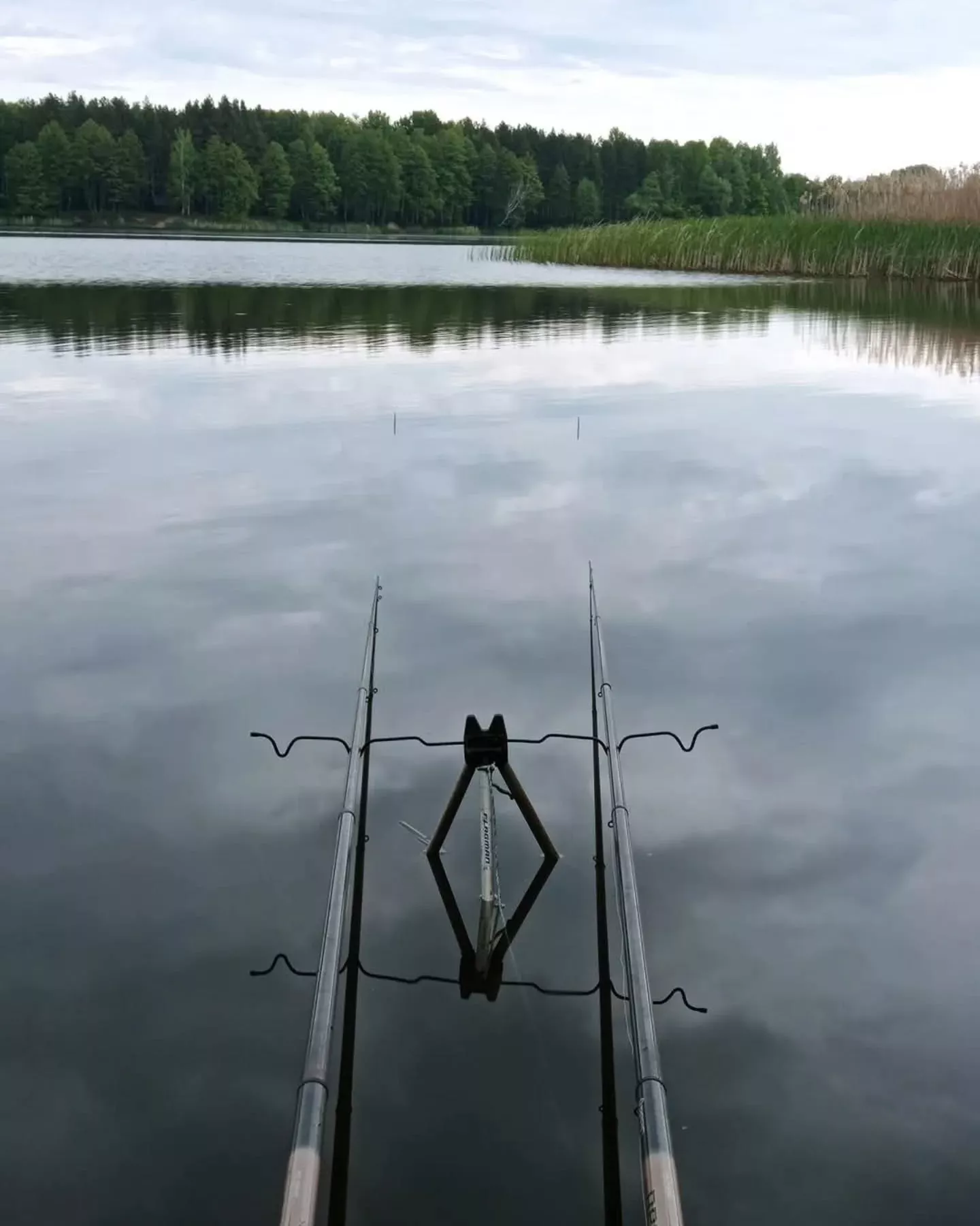 Візнянське водосховище біля Ворсівки: риболовля та відпочинок