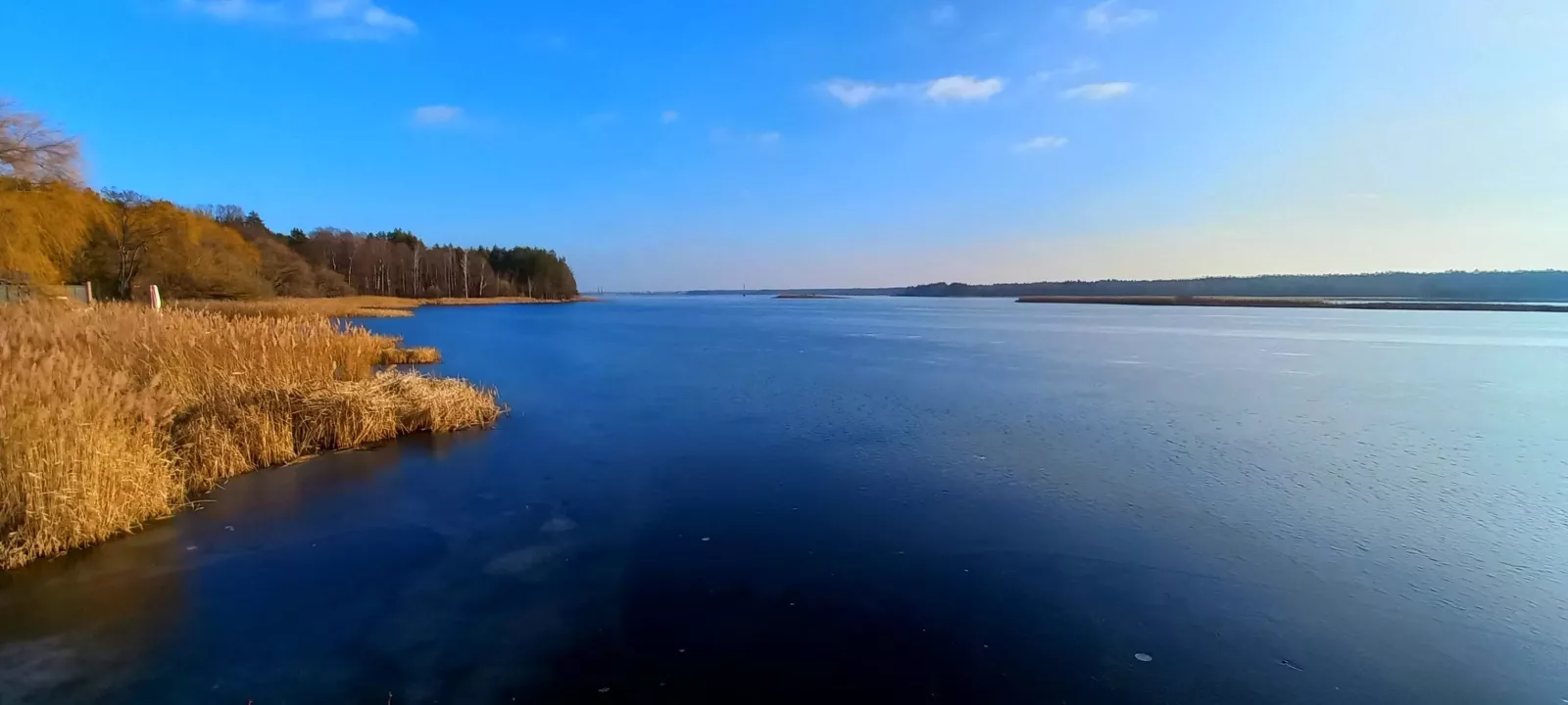 Заказник "Гамарня" в Малині — водосховище та садиба Миклух-Маклая