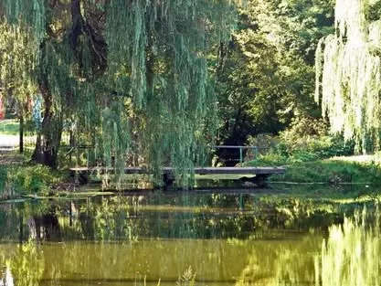 Палац Бержинських-Терещенків, Андрушівка — Житомирська область