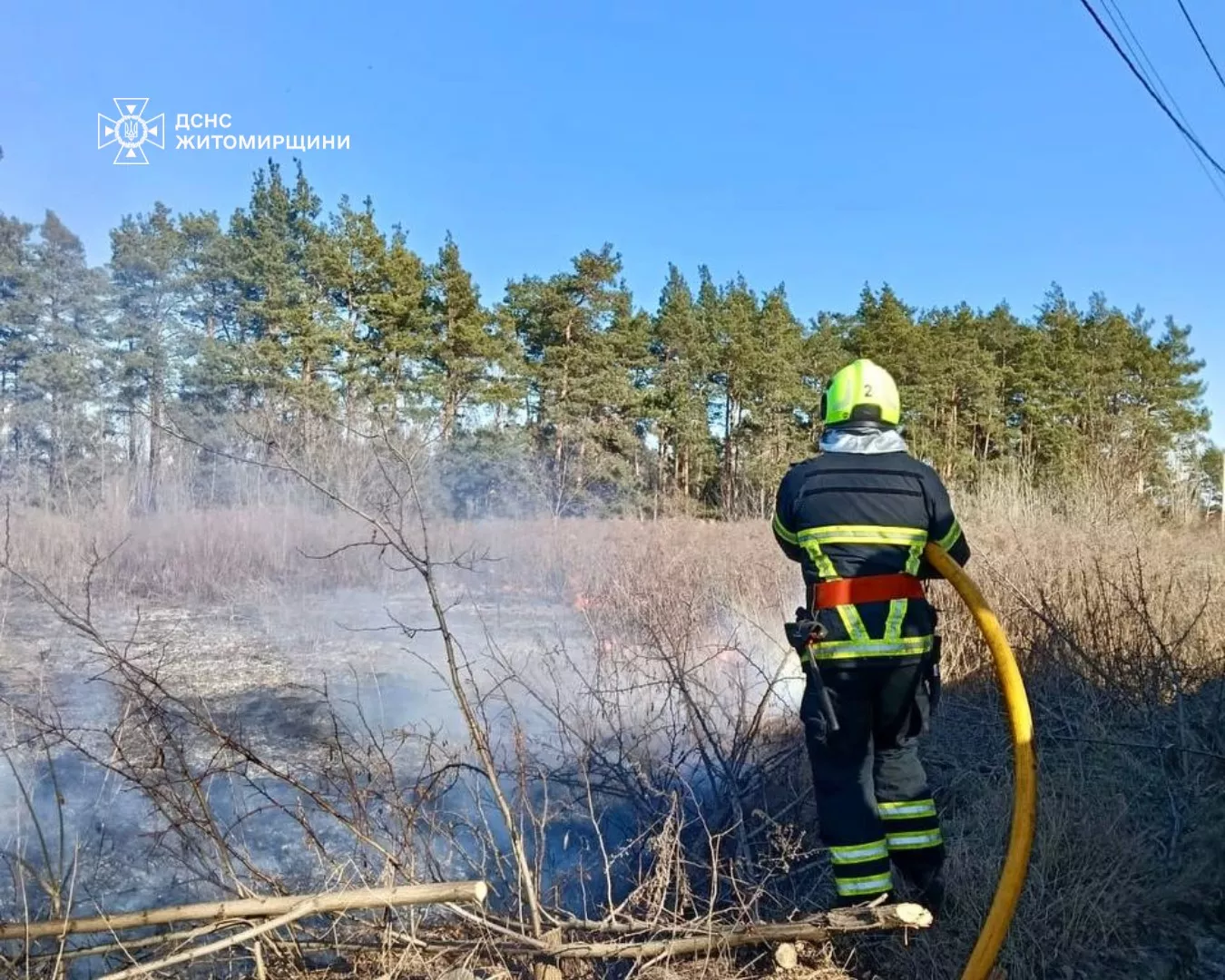 На Житомирщині через пожежі травмувалися двоє людей: рятувальники закликають не палити траву