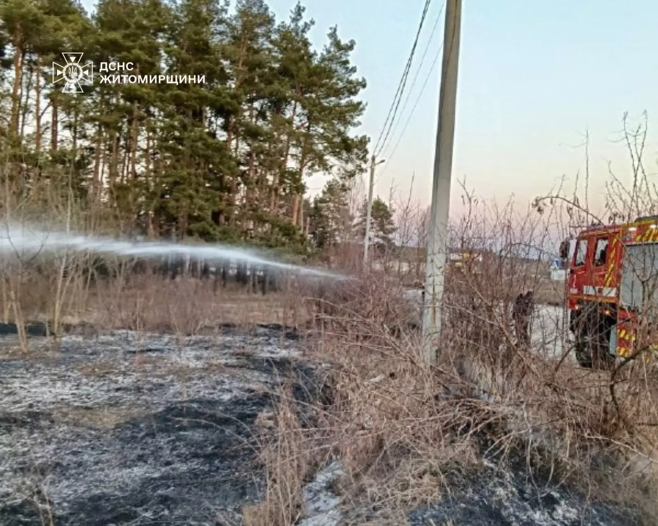 На Житомирщині через пожежі травмувалися двоє людей: рятувальники закликають не палити траву