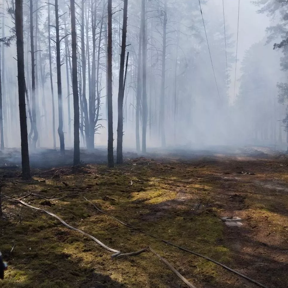 Пожежа в Чорнобилі: горить 1100 гектарів — оперативна інформація