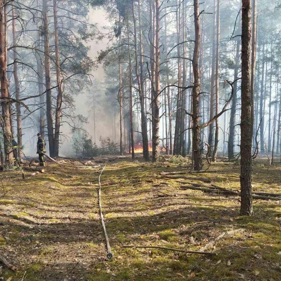 Пожежа в Чорнобилі: горить 1100 гектарів — оперативна інформація