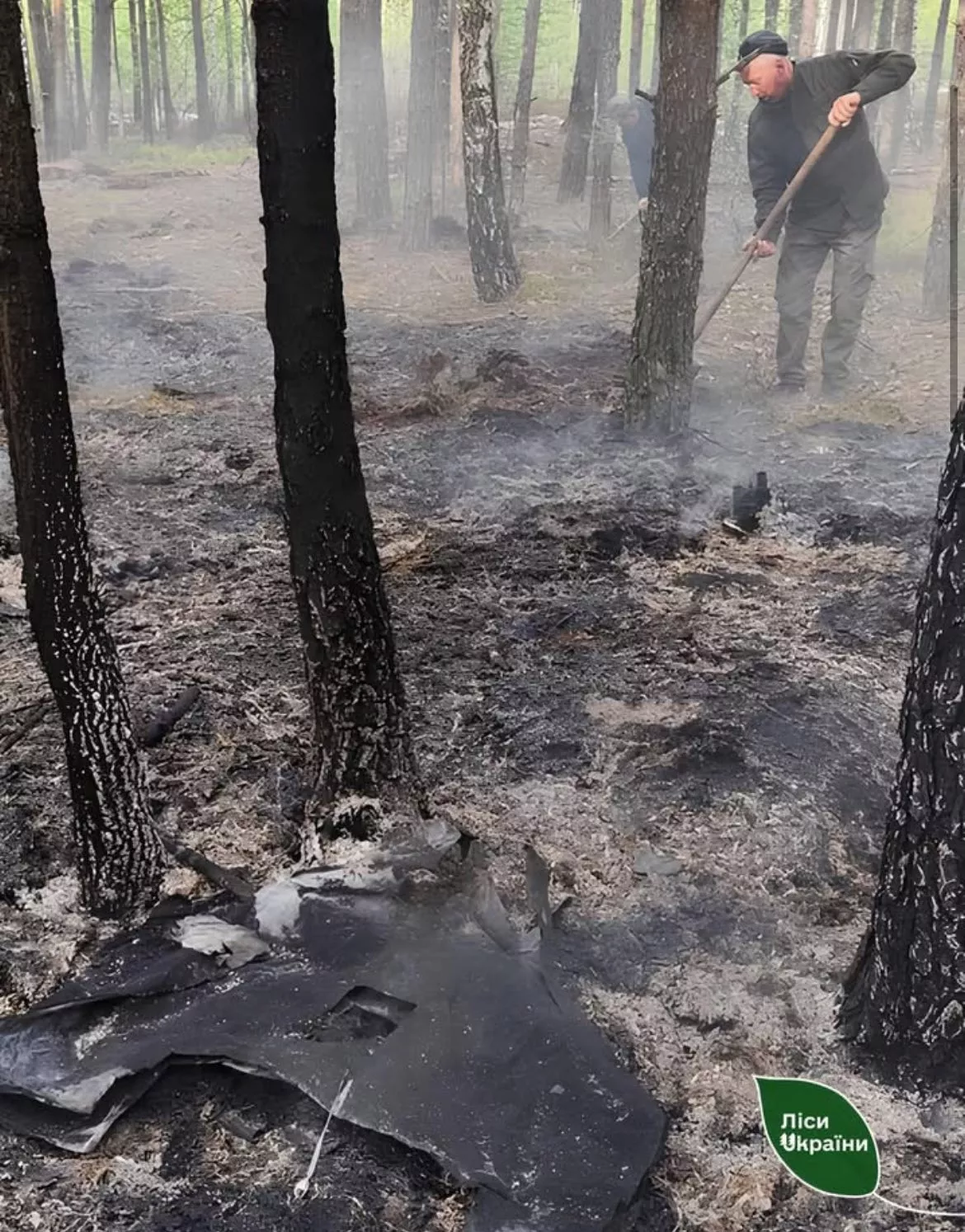 На Житомирщині після падіння уламків «Шахеда» загорівся ліс: пожежу швидко ліквідували