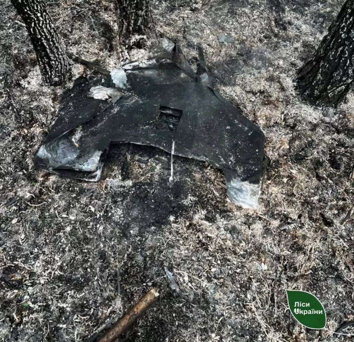 На Житомирщині після падіння уламків «Шахеда» загорівся ліс: пожежу швидко ліквідували