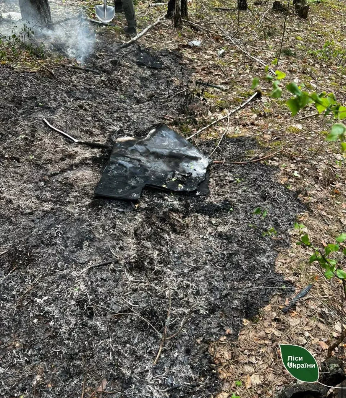 На Житомирщині після падіння уламків «Шахеда» загорівся ліс: пожежу швидко ліквідували