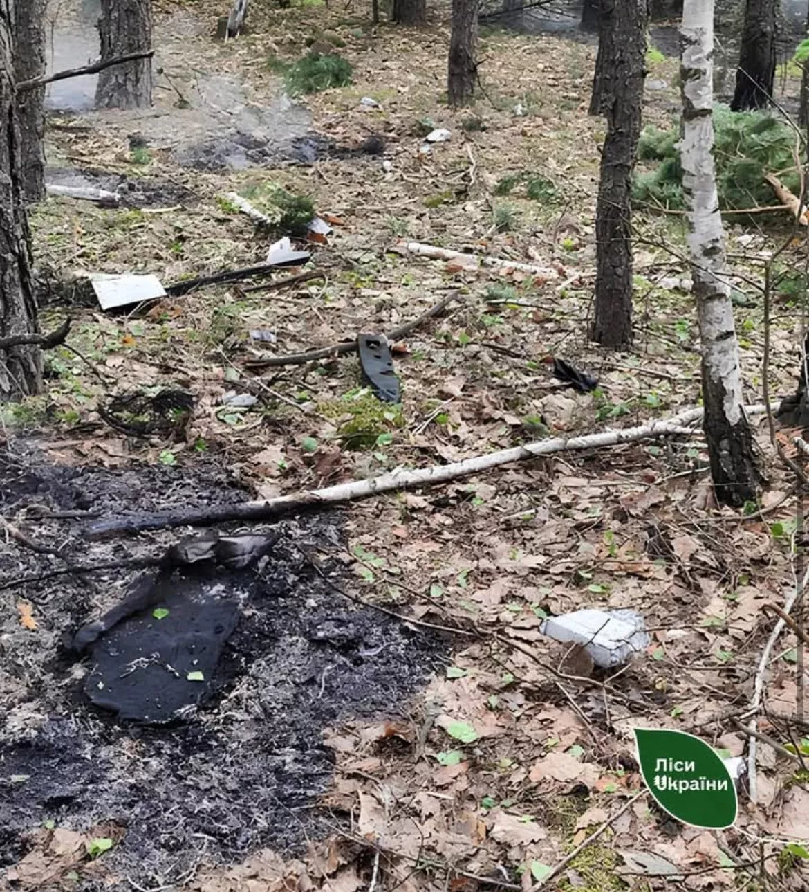 На Житомирщині після падіння уламків «Шахеда» загорівся ліс: пожежу швидко ліквідували