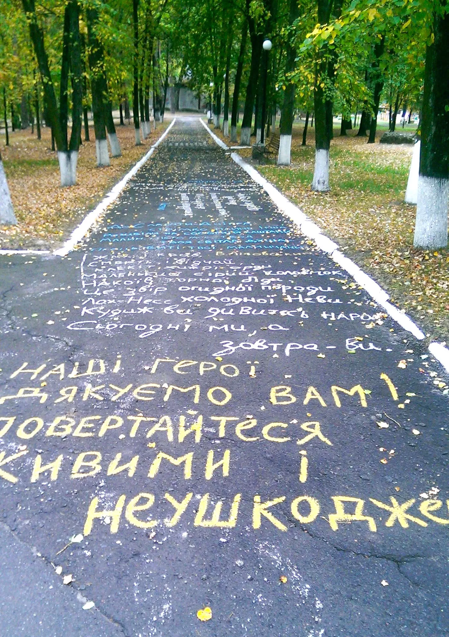 Парк Миклухи-Маклая в Малині — історія та сьогодення
