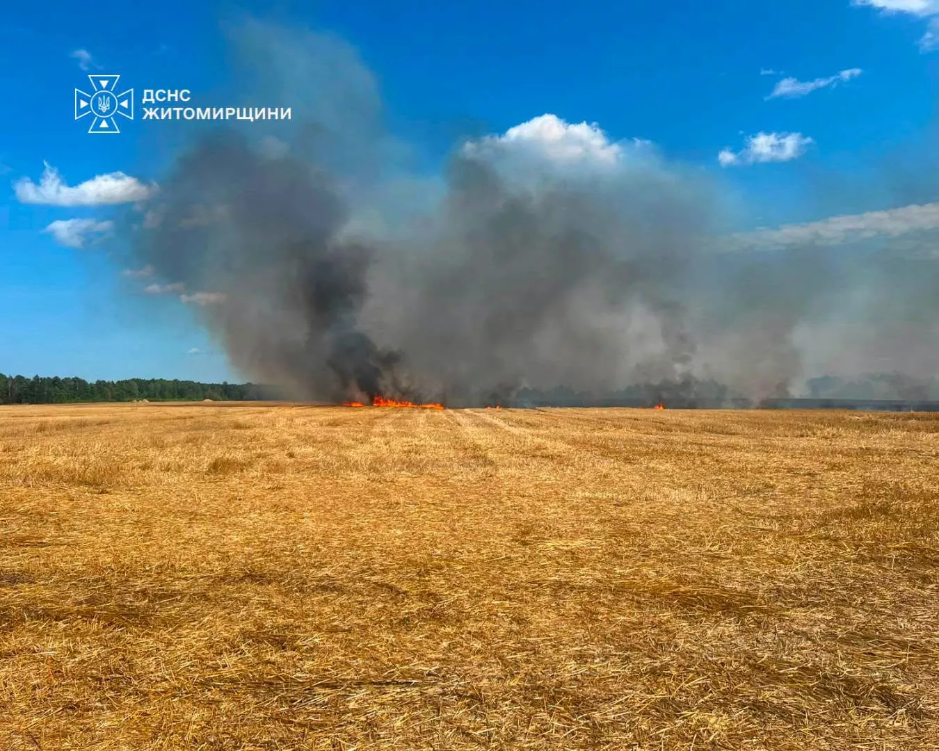 На Житомирщині за добу рятувальники дев’ять разів гасили пожежі