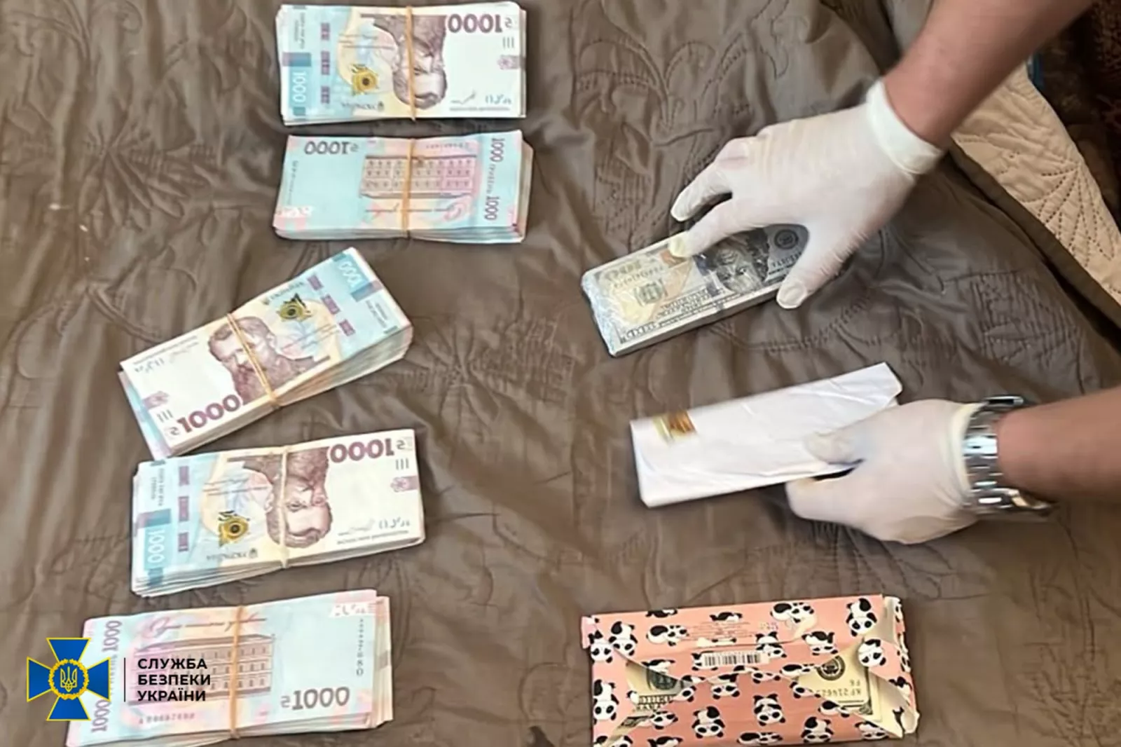 На Житомирщині викрили схему фейкової інвалідності: за «онкодіагноз» просили $15 тисяч