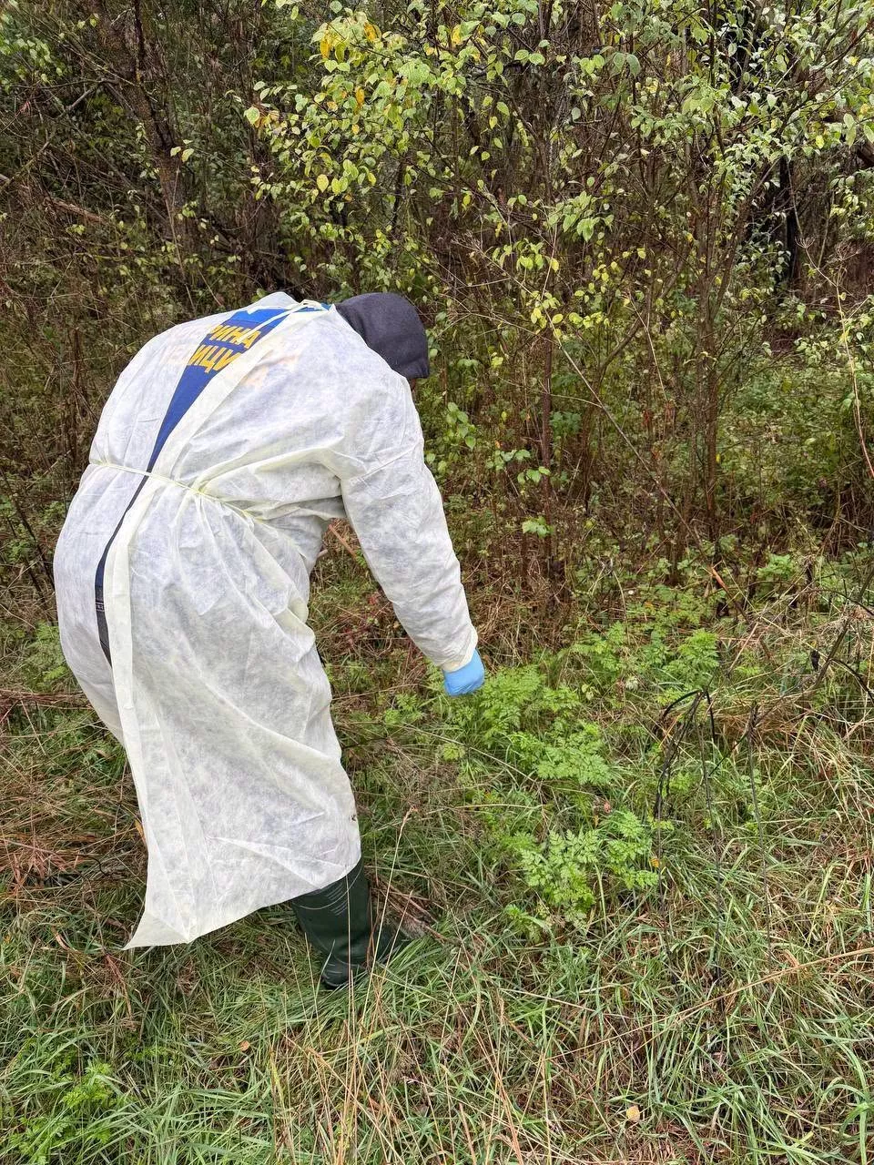 На Коростенщині завершили осінню кампанію вакцинації диких тварин від сказу