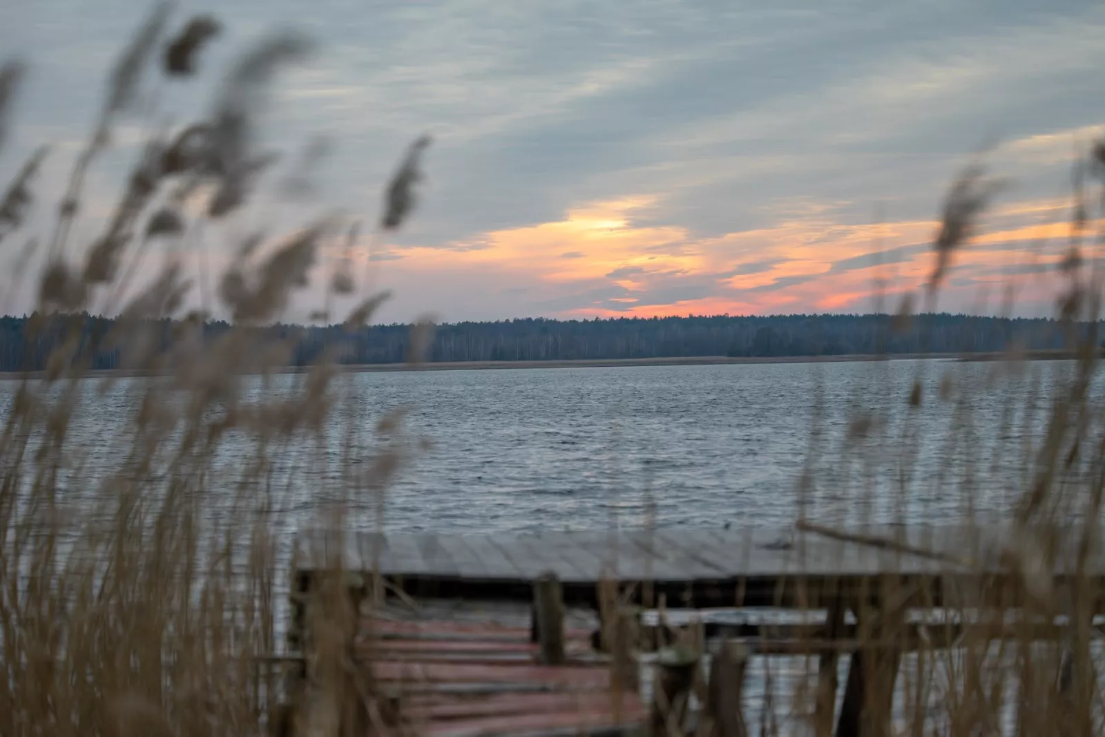 Заказник "Гамарня" в Малині — водосховище та садиба Миклух-Маклая