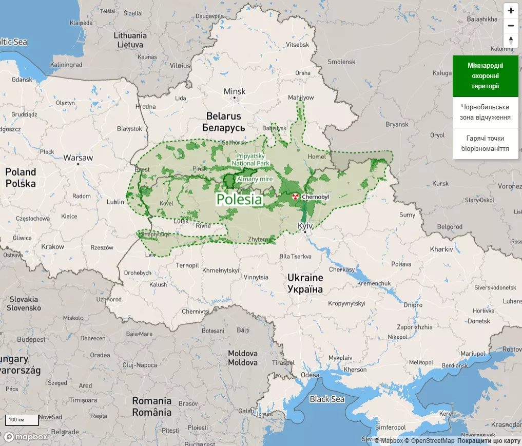 Таємниче Полісся: Скарбниця автентичних традицій та живої історії України