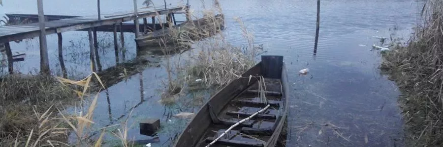 Риболовля на річці Прип’ять: детальний гід для рибалок