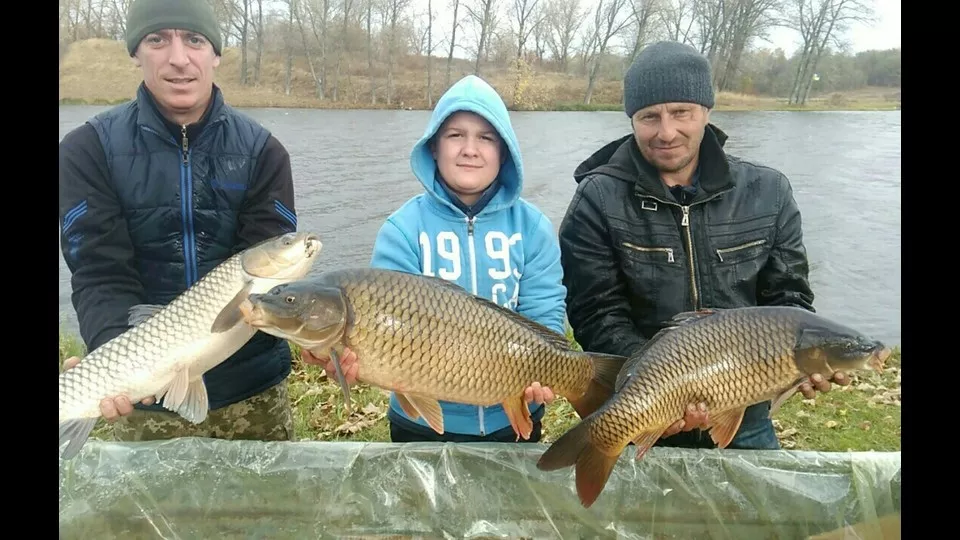 Спортивне озеро «Підкова» — ідеальна рибалка на Житомирщині