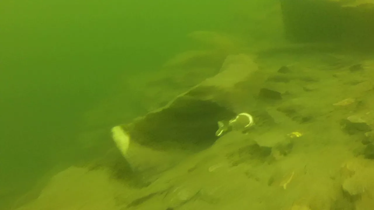 Під водою в Богунському кар'єрі: каламутна вода і кам'янисте дно