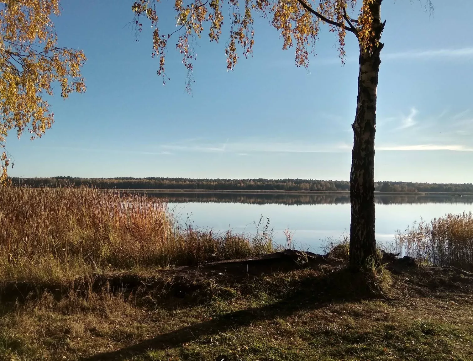 Заказник "Гамарня" в Малині — водосховище та садиба Миклух-Маклая