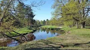 ТОП-10 природних див Житомирського Полісся, які варто побачити кожному