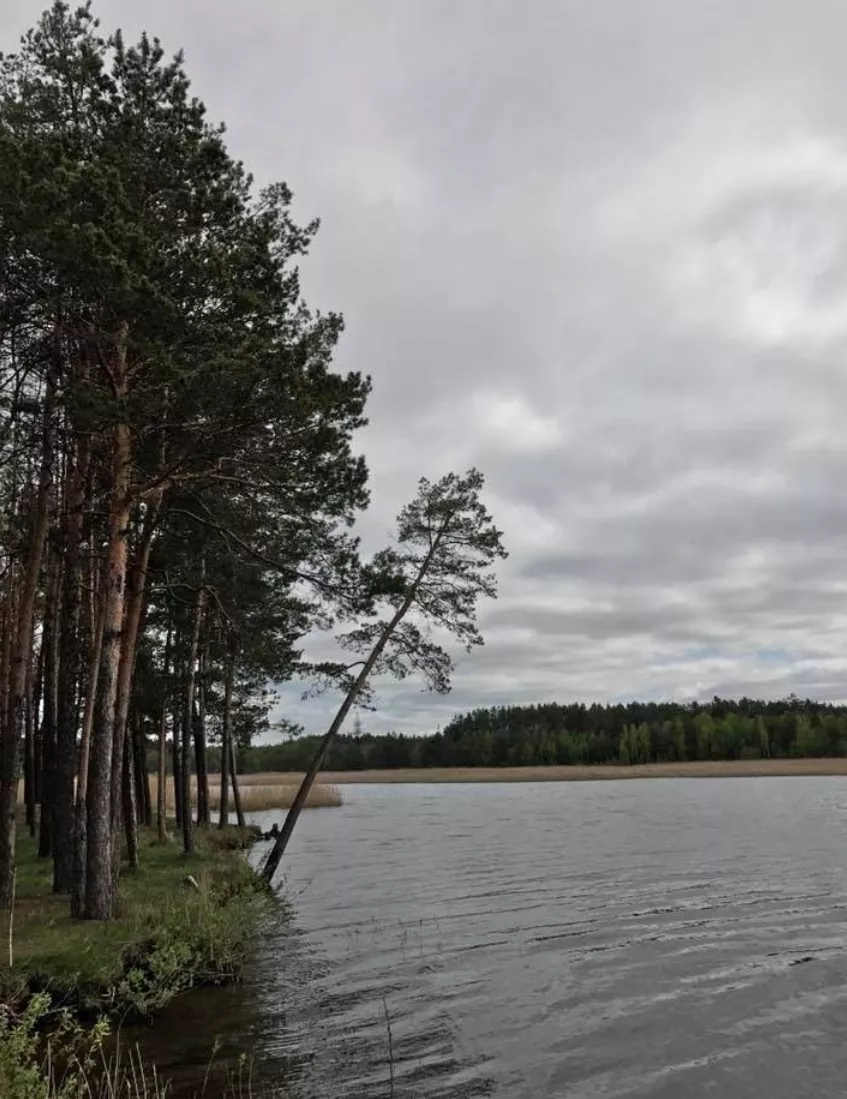 Малинська Коса на Малинському водосховищі — відпочинок біля Ірші та Каменю Кохання