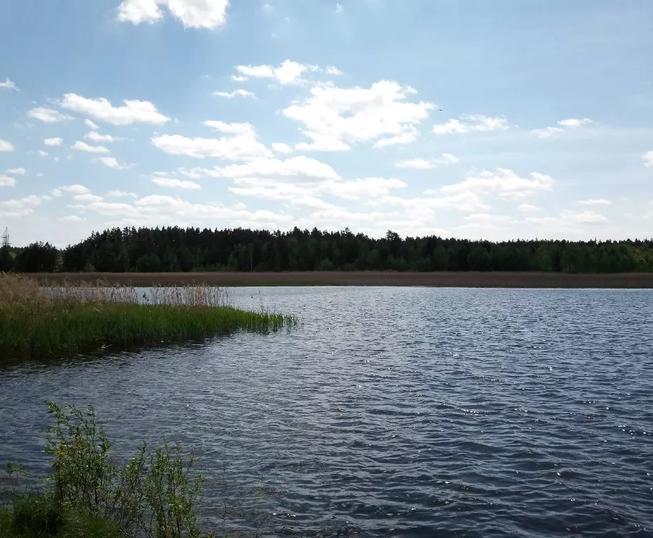 Малинська Коса на Малинському водосховищі — відпочинок біля Ірші та Каменю Кохання