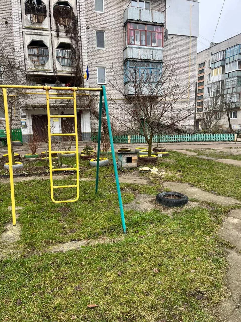 Діти чи безпритульні собаки: у Малині назріває проблема