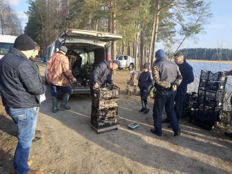 Малинське «море»: ідея для бюджетних вихідних за 100 км від Києва