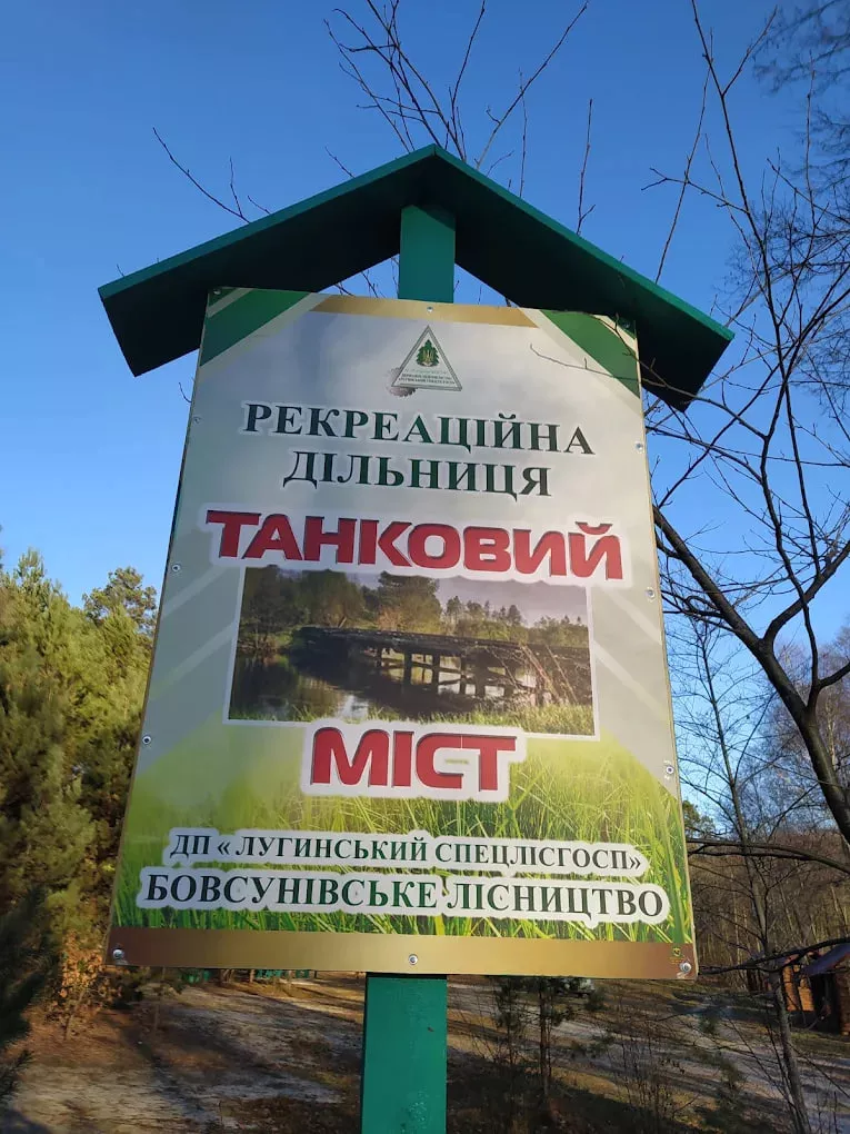 Річка Жерев на Житомирщині: дика природа та неймовірні краєвиди