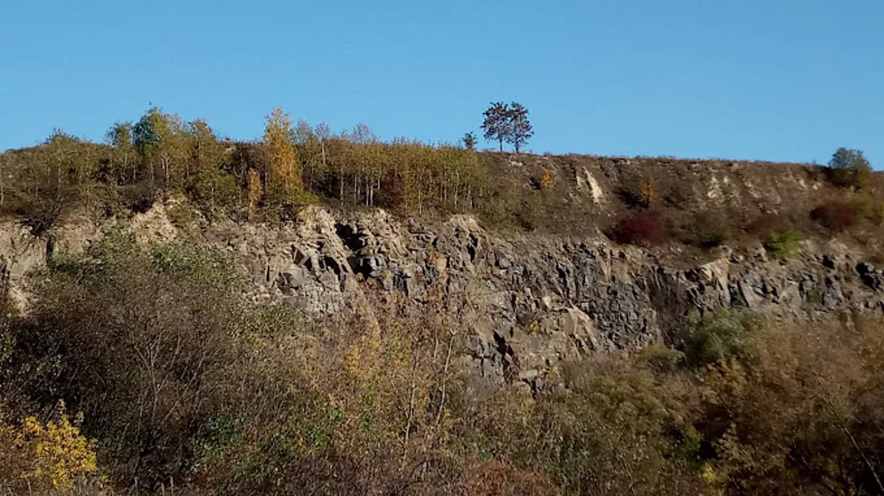 Звягельське городище: де стояв давній Возвягль і чому його спалив Данило Галицький