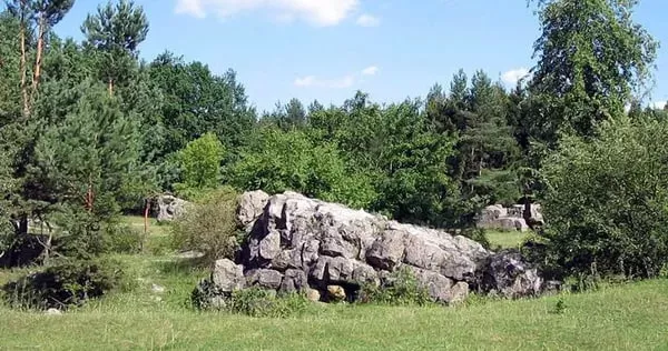 «Гніздо блискавок» на Житомирщині — Громовище під Купищем