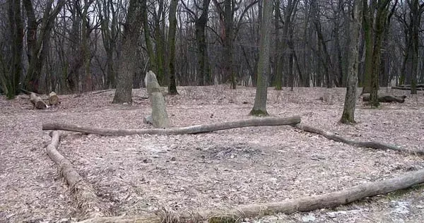 «Гніздо блискавок» на Житомирщині — Громовище під Купищем