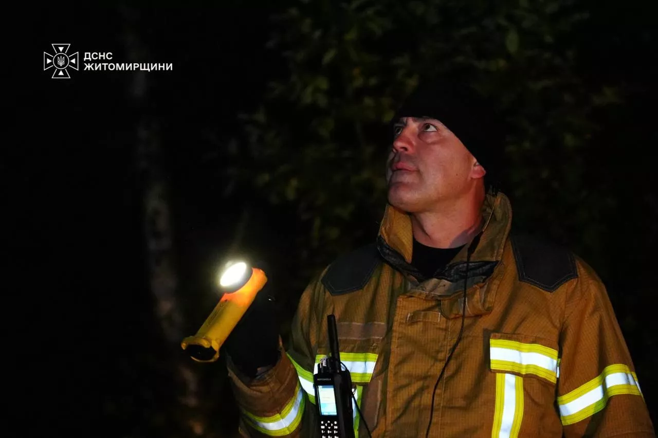 Росіяни знову атакували Житомирщину: рятувальники ліквідували пожежі