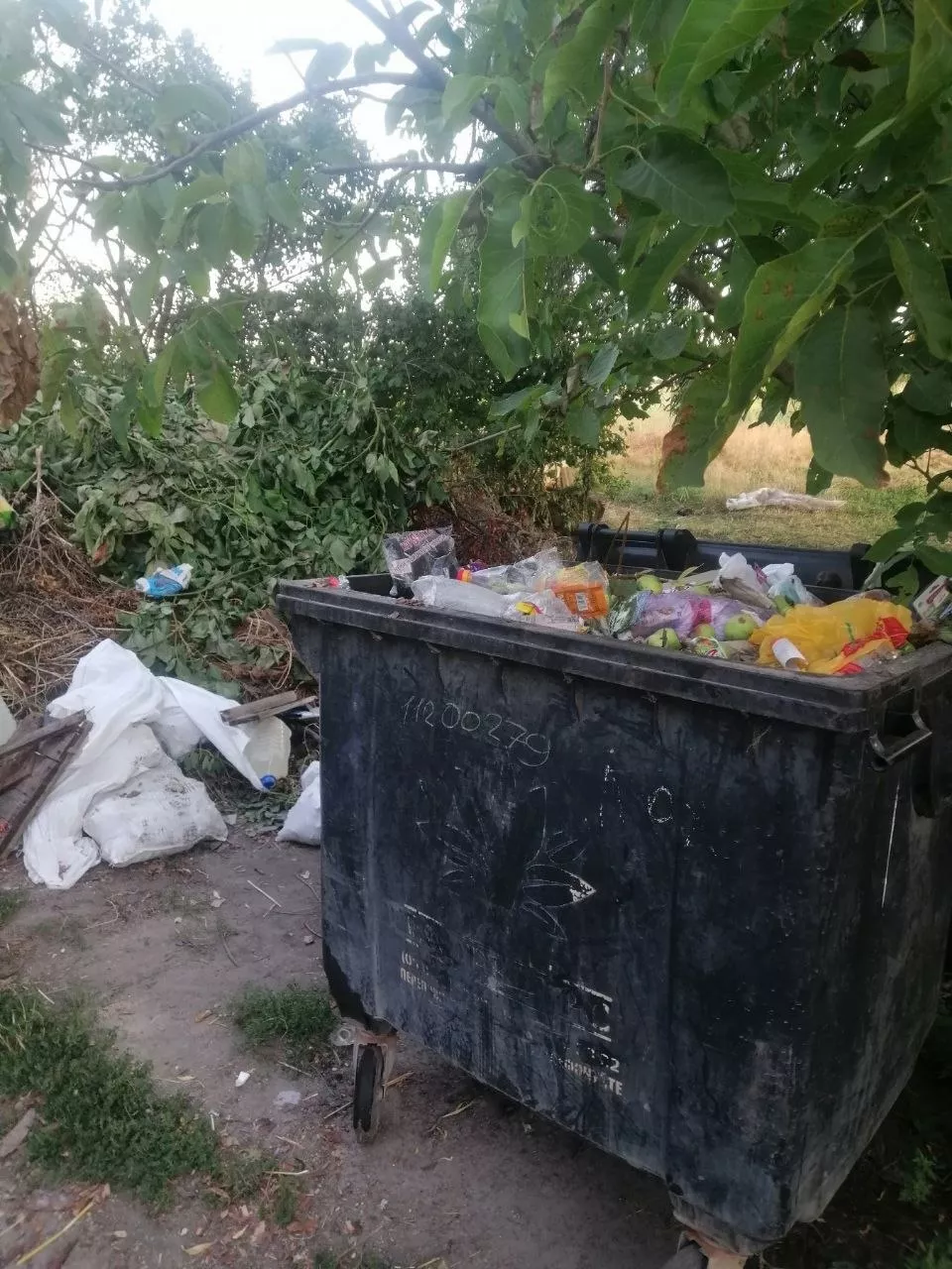 У Малині закупили 60 нових контейнерів для сміття — частину спрямують на заміну пошкоджених