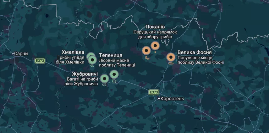 Гриби на Житомирщині — куди поїхати та де шукати