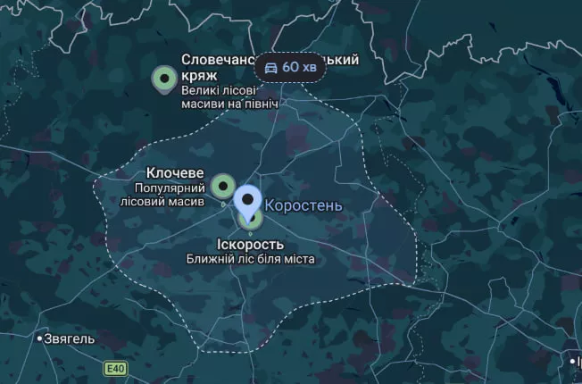 Гриби на Житомирщині — куди поїхати та де шукати