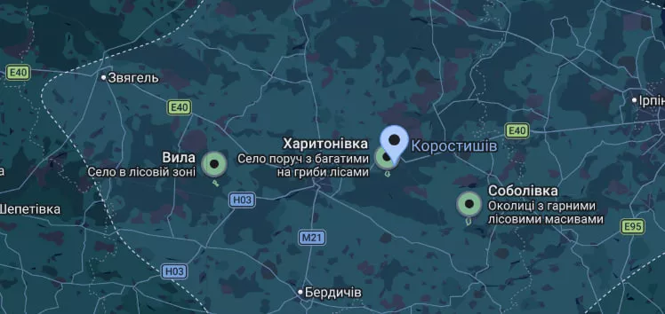 Гриби на Житомирщині — куди поїхати та де шукати