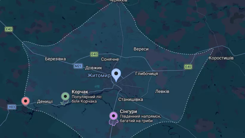 Гриби на Житомирщині — куди поїхати та де шукати