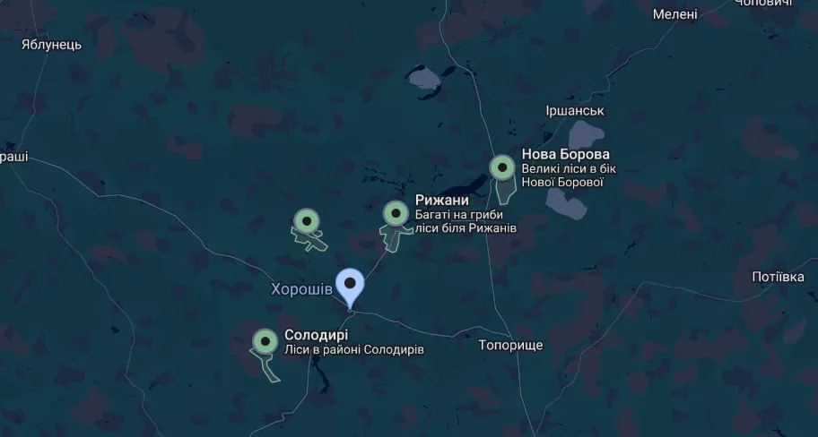 Гриби на Житомирщині — куди поїхати та де шукати