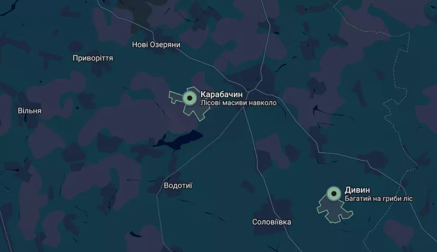 Гриби на Житомирщині — куди поїхати та де шукати