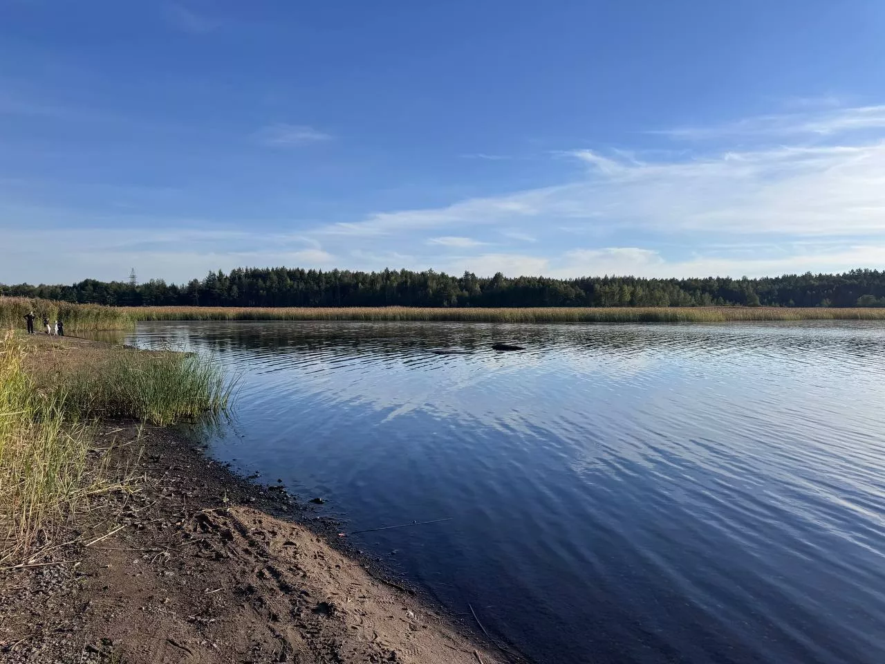 Малинська Коса на Малинському водосховищі — відпочинок біля Ірші та Каменю Кохання