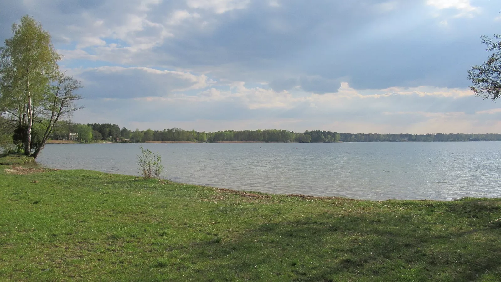 Озеро Біле в Окунінці: широка водна гладь і лісистий берег