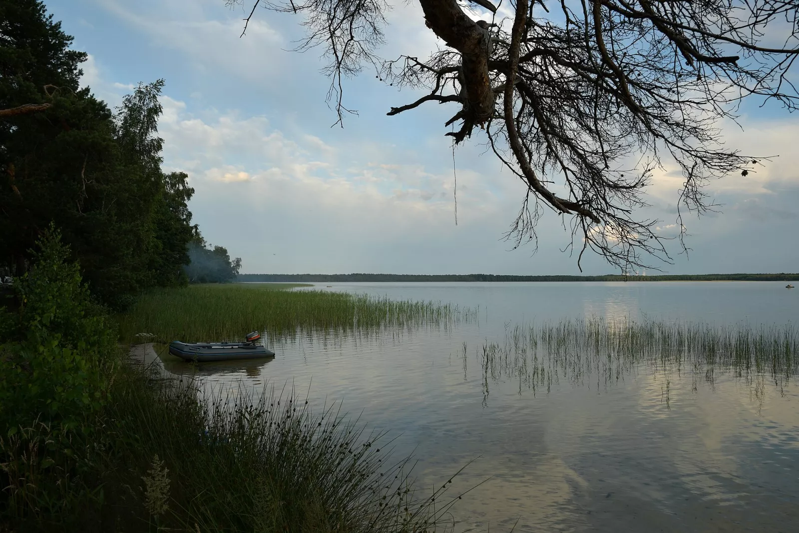 Біле озеро: соснові береги й світла вода