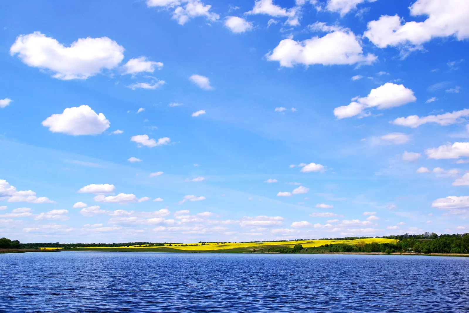 Широке плесо Роставиці навесні, на березі квітучі поля ріпаку
