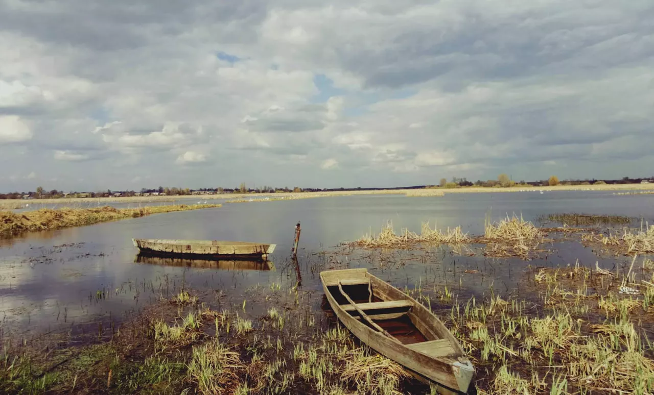 Рибалка на ставку біля Карпівців (Чуднівський район)