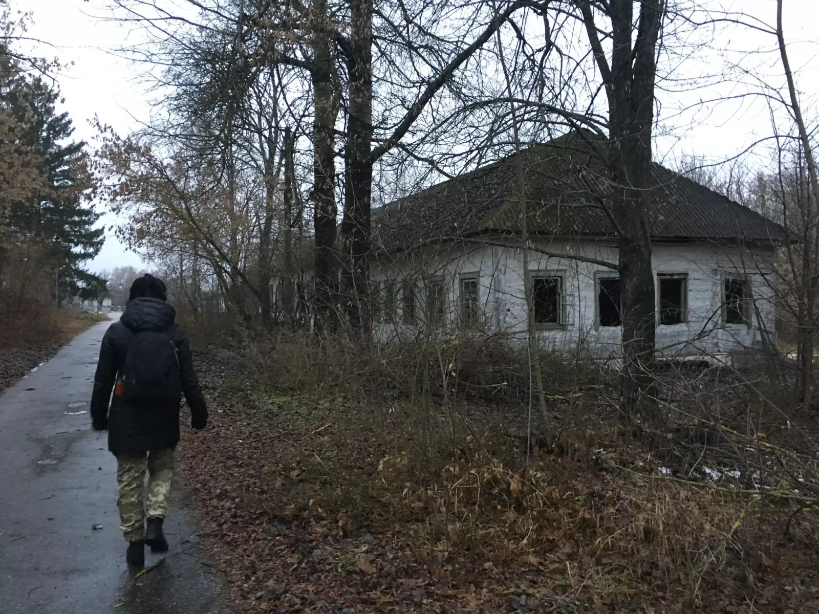 Зниклі села Житомирщини: чому десятки сіл щезли з мапи