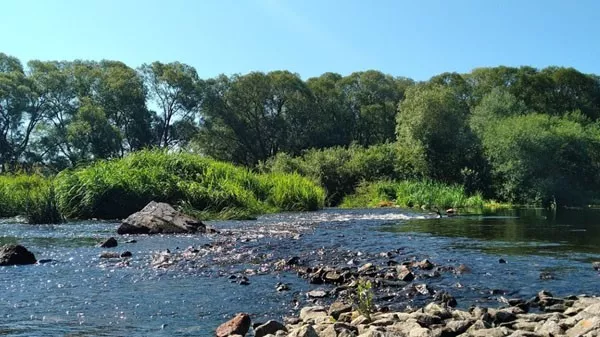 Надслучанська Швейцарія на Рівенщині: один із найкрасивіших куточків України, про який мало хто знає